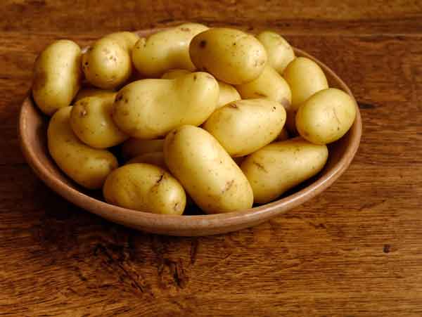 Producción convencional y cultivo ecológico de las patatas